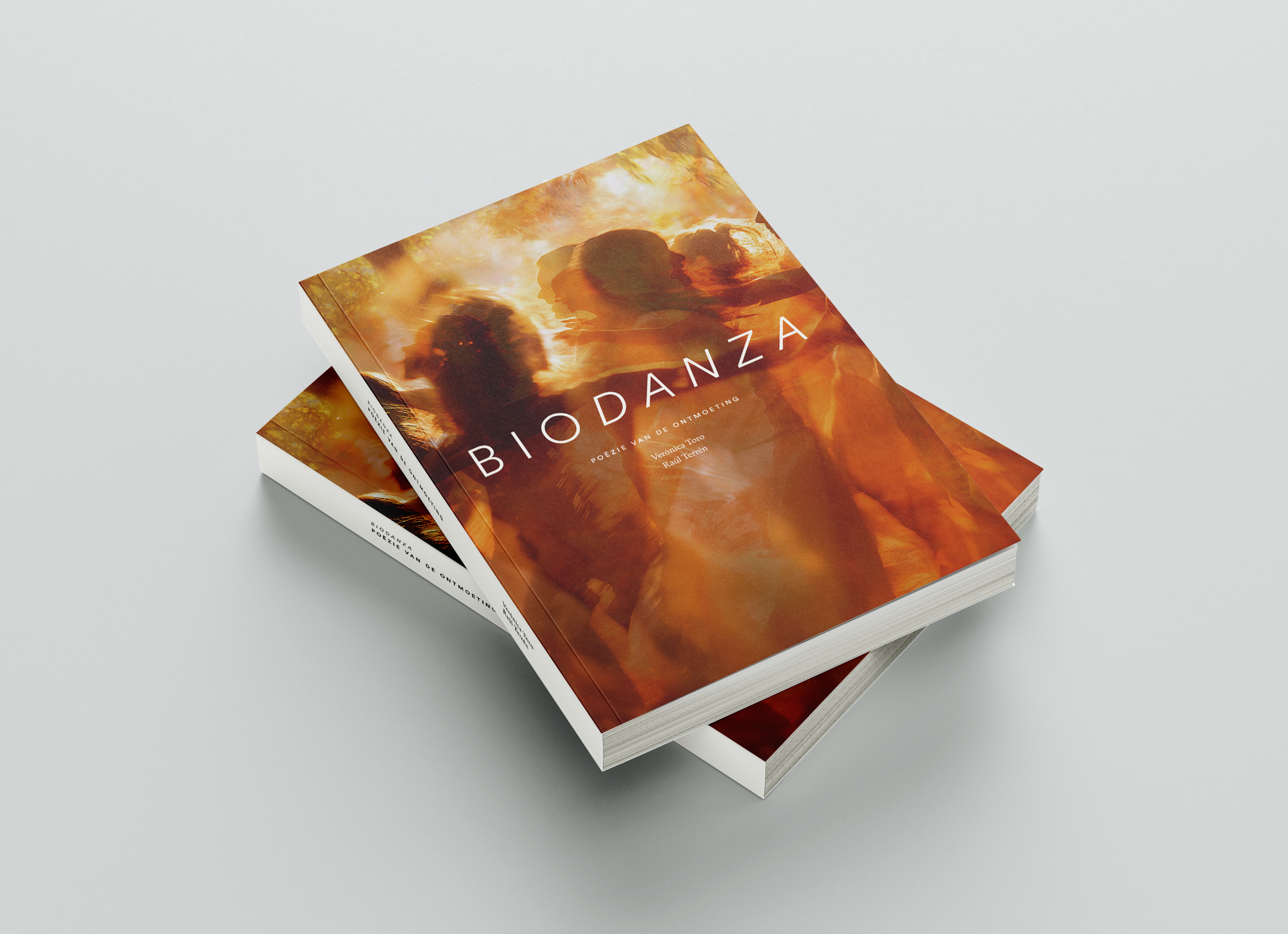 boek biodanza van de ontmoeting