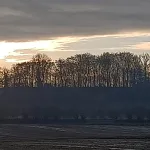 Elementen