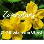 Zomeravond biodanza workshop