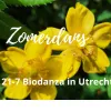 Zomeravond biodanza workshop