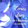 Zomeravond biodanza workshop