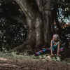 Dansen van de Levensboom