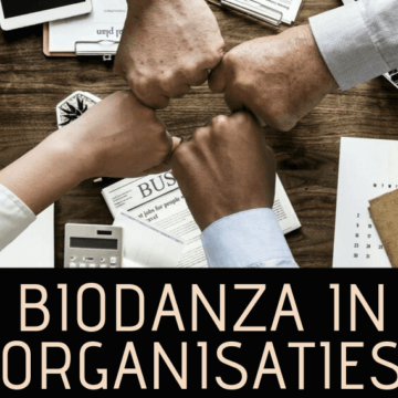 Biodanza in Organisaties