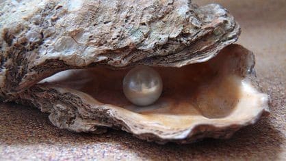 Biodanza Verdiepingsdagen ‘Dans naar de parel van de ziel’ – De vruchtbare aarde van existentieel verlies ? Dans van het zaad