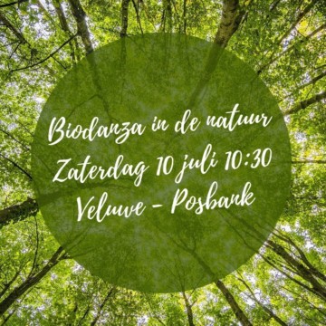 Biodanza in de Natuur – Veluwe – Eén zijn met de natuur