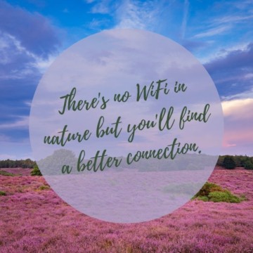 Biodanza in de Natuur – mini vakantie op de Veluwe