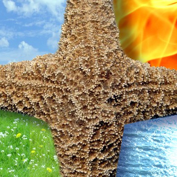 Identiteit & de 4 elementen; biodanzaweekend door Els Boon en Miranda van Keulen