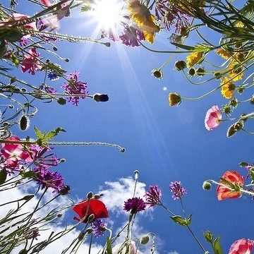 Deze avond kan helaas niet doorgaan wegens ziekte docent: Zwoele Zomerse Dansavond: Het Numineuze Onbewuste: De intase (innerlijke liefdesexplosie)
