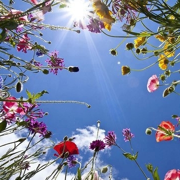 Zwoele Zomerse Dansavond: Het Numineuze Onbewuste: De liefde