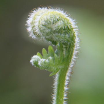 Magic on Earth, contact maken met Levenslust