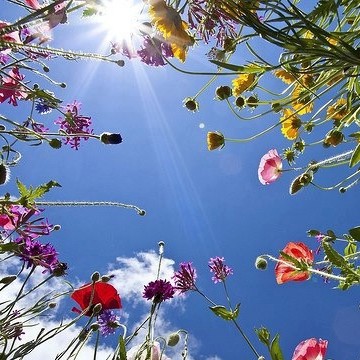 Zwoele Zomerse Dansavond: Losser, lichter, luchtiger