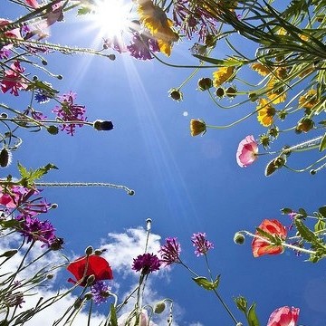 Zwoele Zomerse Dansavond: Losser, lichter, luchtiger