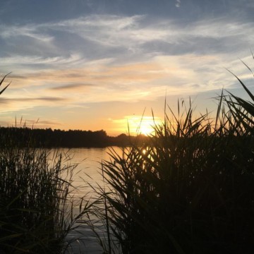 Zomers genieten met Biodanza