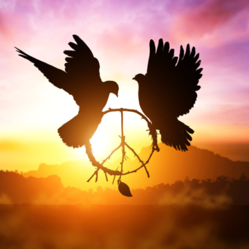“People for Peace” ~ HuiskamerBiodanza 22 juli