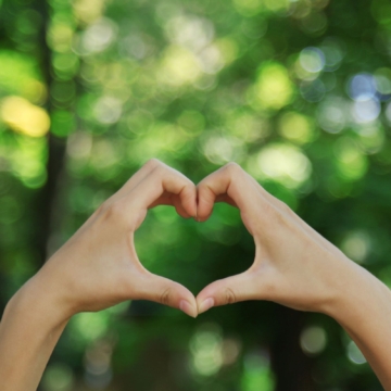 Natuurlijk in Verbinding – Biodanza in de Natuur