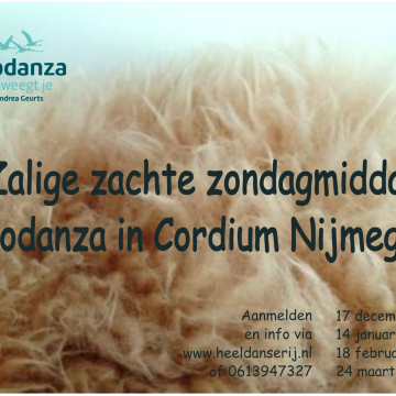 Zalige zachte zondagmiddag biodanza