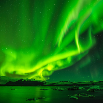 Aurora, de wolf en de maan: Biodanza workshop op 2e kerstdag