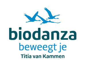 Kennismaken in bestaande groep tijdens Nationale Biodanzaweek