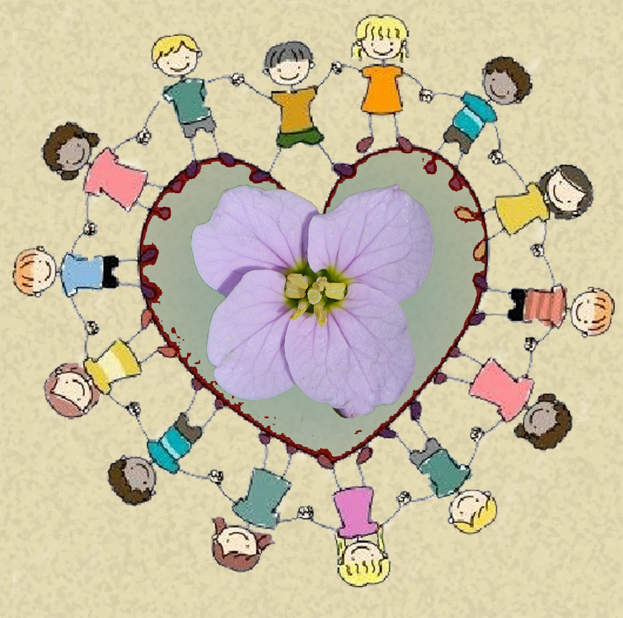 groep afbeelding
