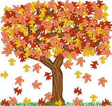 Herfst, de helende kracht van loslaten
