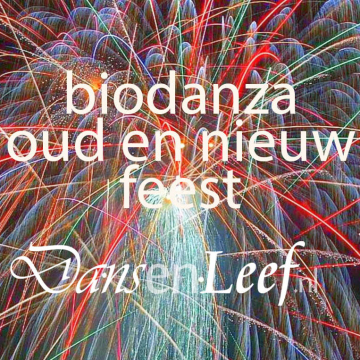 Vier samen Oud en Nieuw met biodanza in Gouda